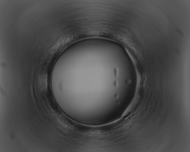 X0000090710685200708031433