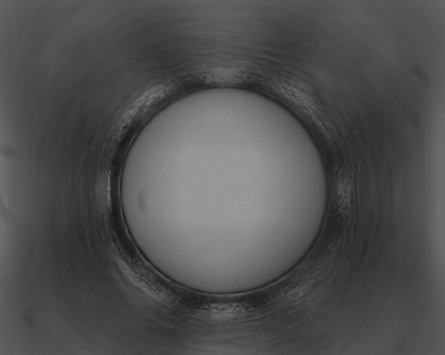 X0000090710686200708031433