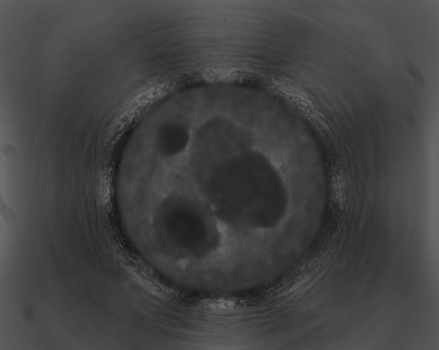 X0000090710687200708031433