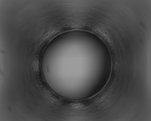 X0000090710689200708031433