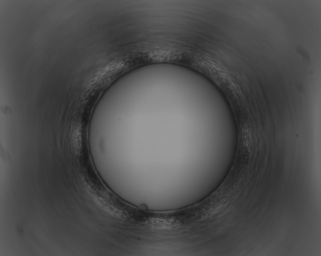 X0000090710690200708031433