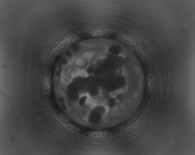 X0000090710691200708031433