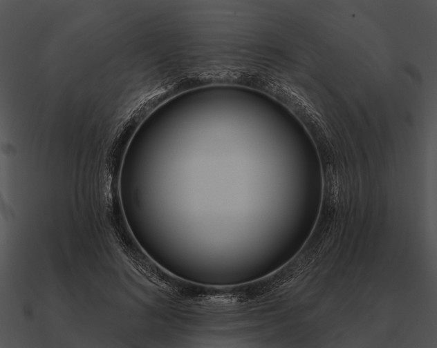 X0000090710692200708031433