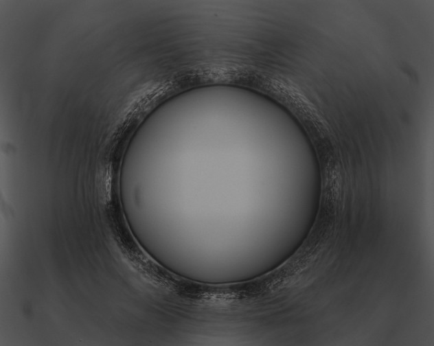 X0000090710694200708031433