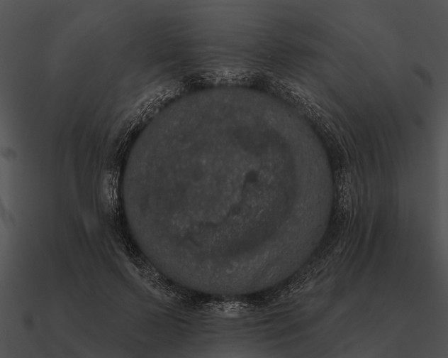 X0000090710695200708031433