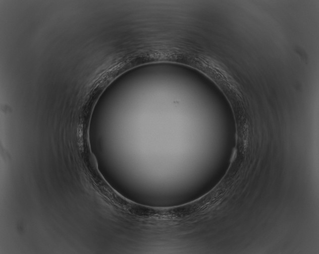 X0000090710696200708031433