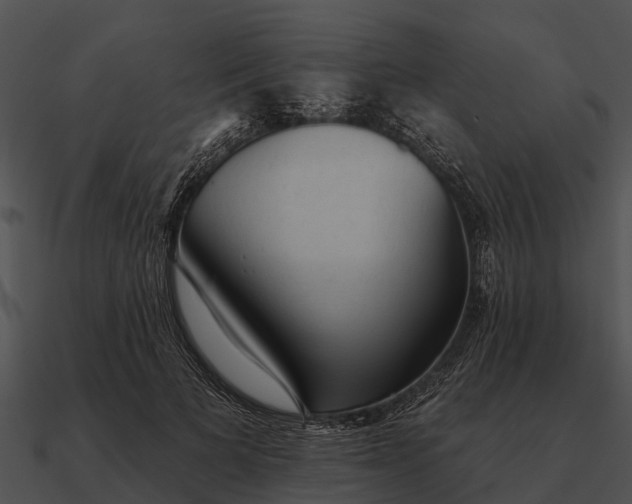 X0000090710697200708031433