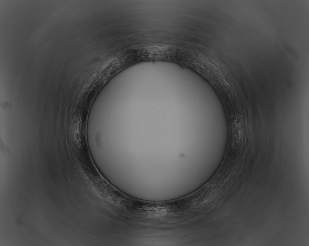 X0000090710698200708031433