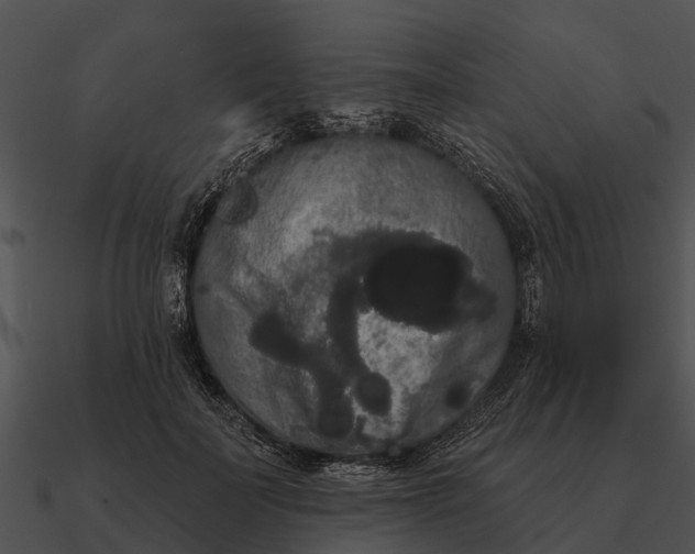 X0000090710699200708031433