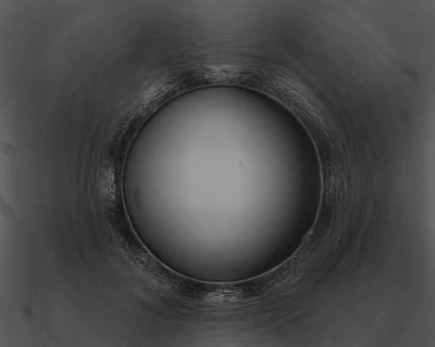 X0000090710700200708031433