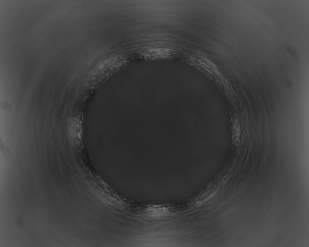 X0000090710701200708031433