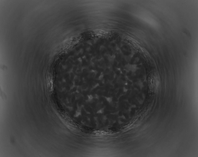 X0000090710703200708031433