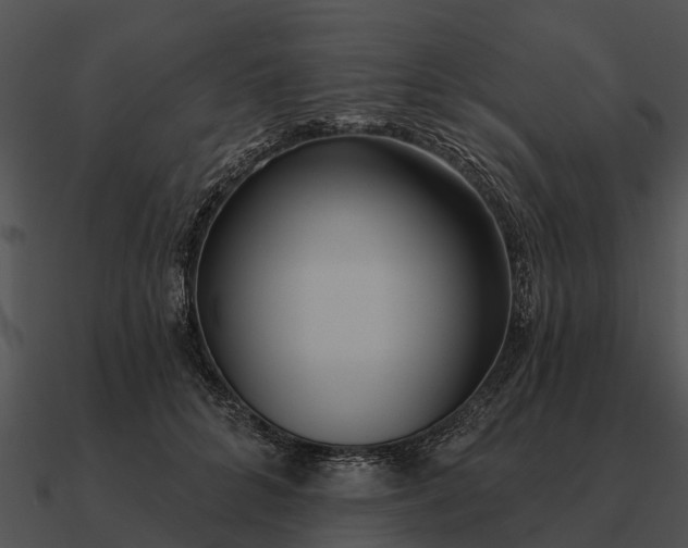 X0000090710704200708031433