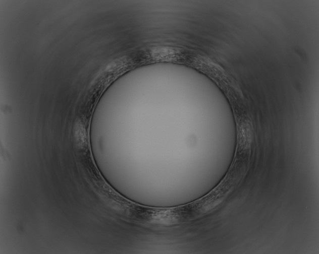 X0000090710705200708031433