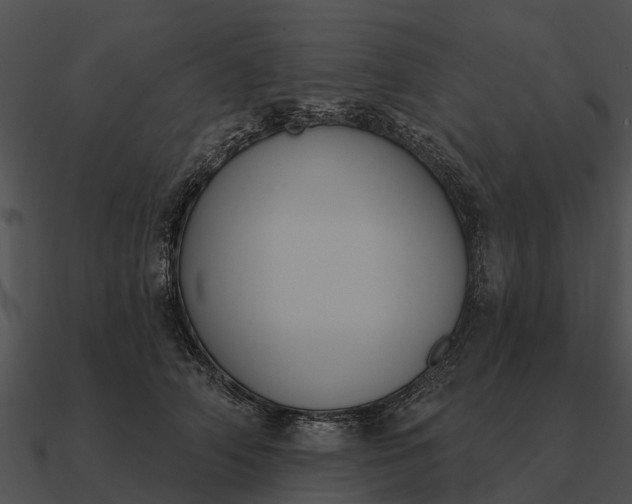 X0000090710706200708031433