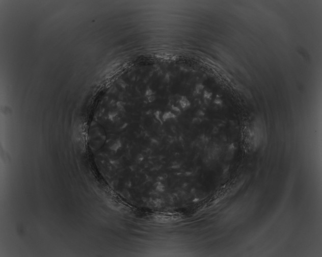 X0000090710707200708031433