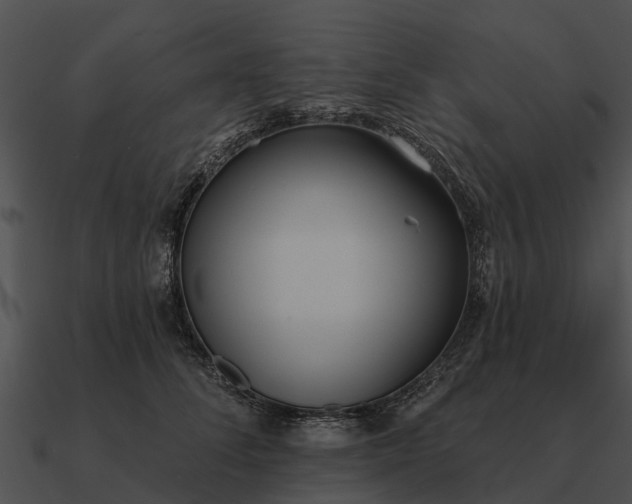 X0000090710708200708031433