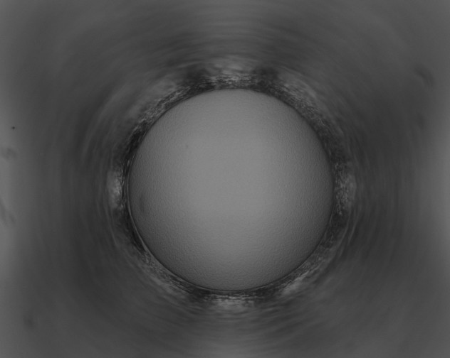 X0000090710709200708031433