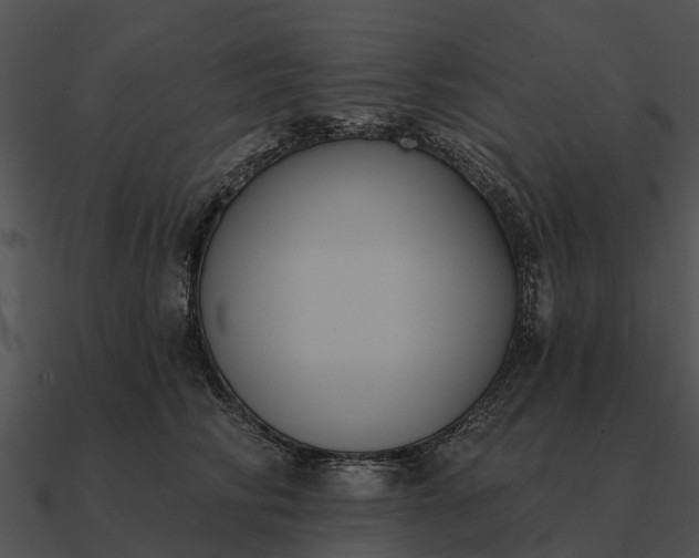 X0000090710710200708031433