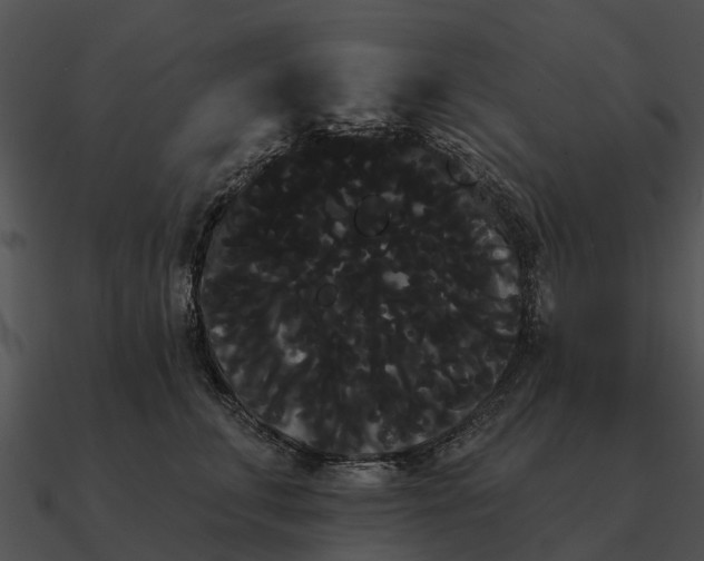 X0000090710711200708031433