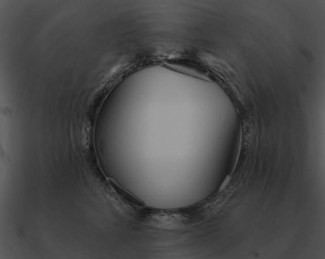 X0000090710712200708031433