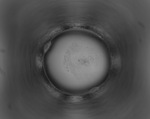 X0000090710719200708031433