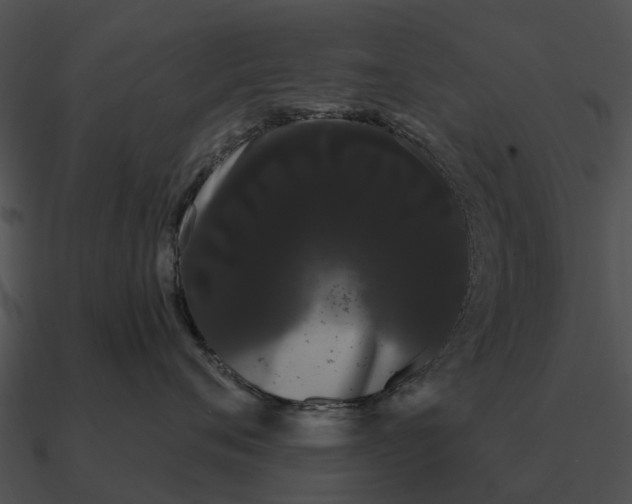 X0000090710720200708031433