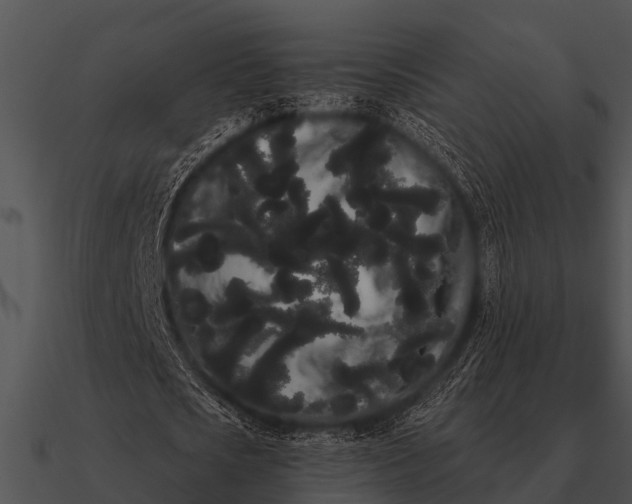 X0000090710721200708031432