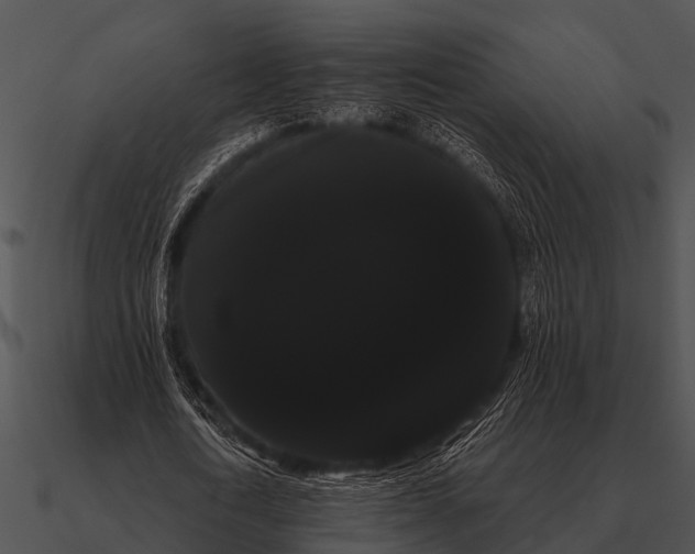 X0000090710722200708031432