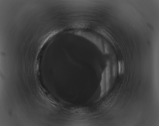 X0000090710723200708031432