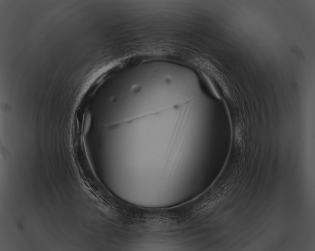 X0000090710724200708031432