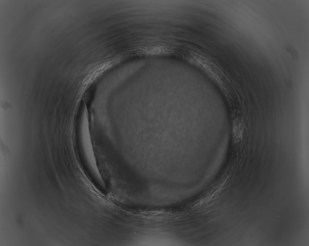 X0000090710725200708031432