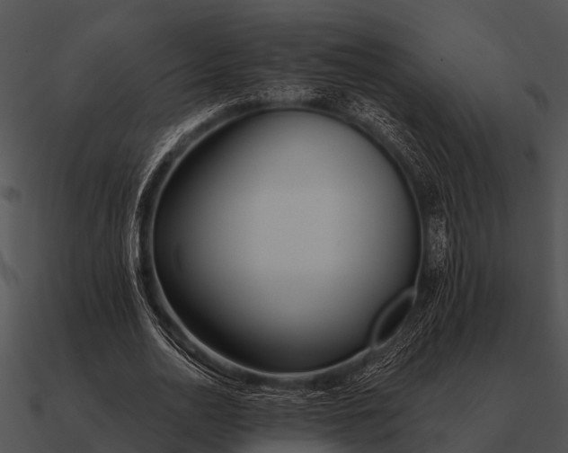 X0000090710726200708031432