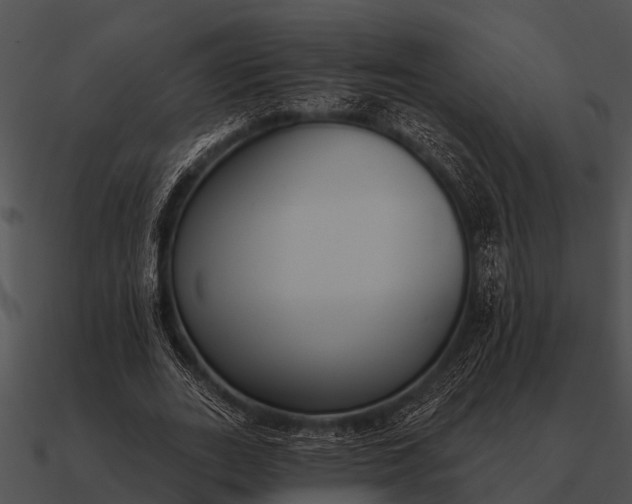 X0000090710727200708031432