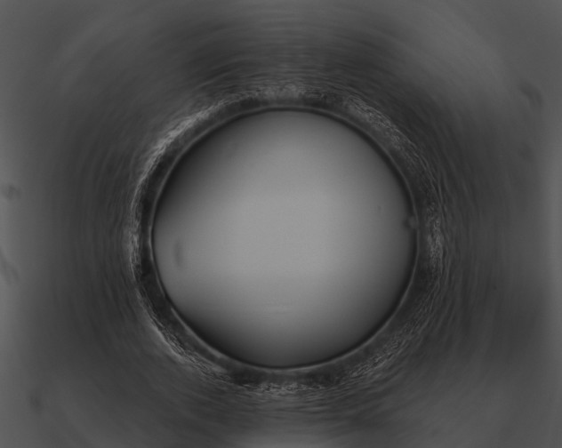 X0000090710728200708031432