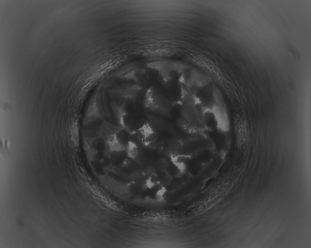 X0000090710729200708031432