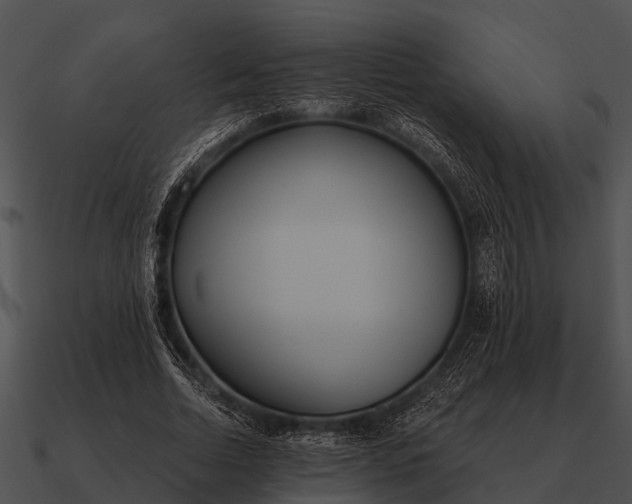 X0000090710730200708031432