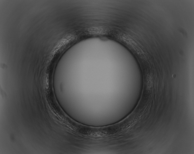 X0000090710731200708031432