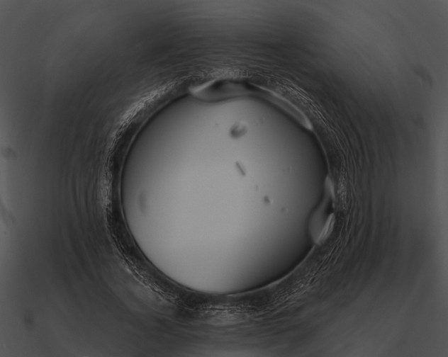 X0000090710732200708031433