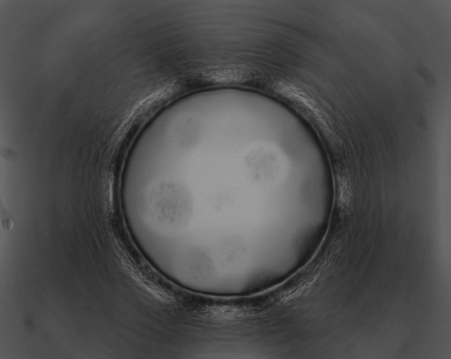 X0000090710733200708031433