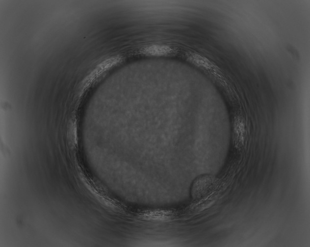 X0000090710734200708031433