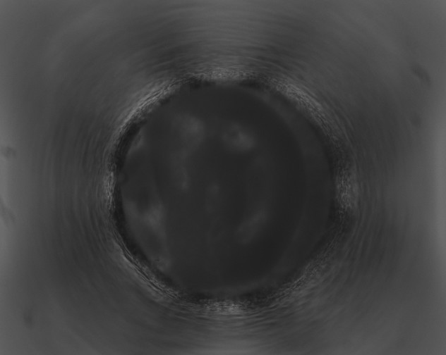 X0000090710735200708031433