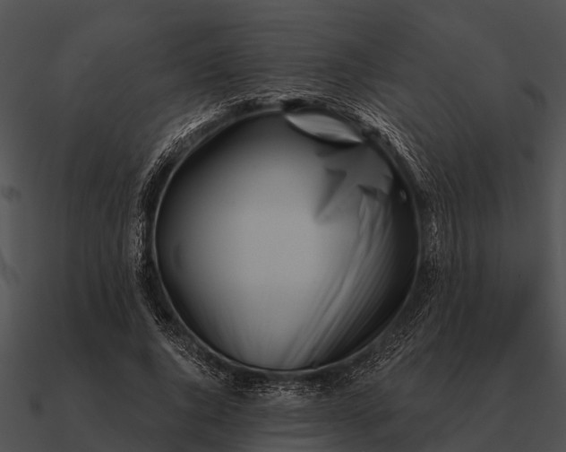 X0000090710736200708031433