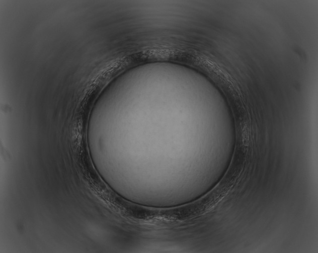 X0000090710737200708031433