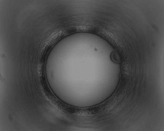 X0000090710738200708031433