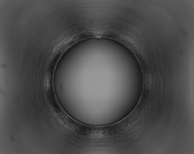 X0000090710740200708031433