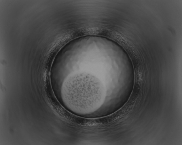 X0000090710742200708031433