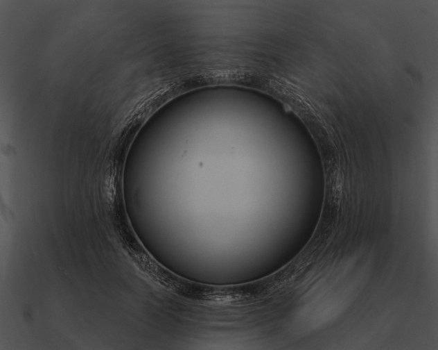 X0000090710746200708031433