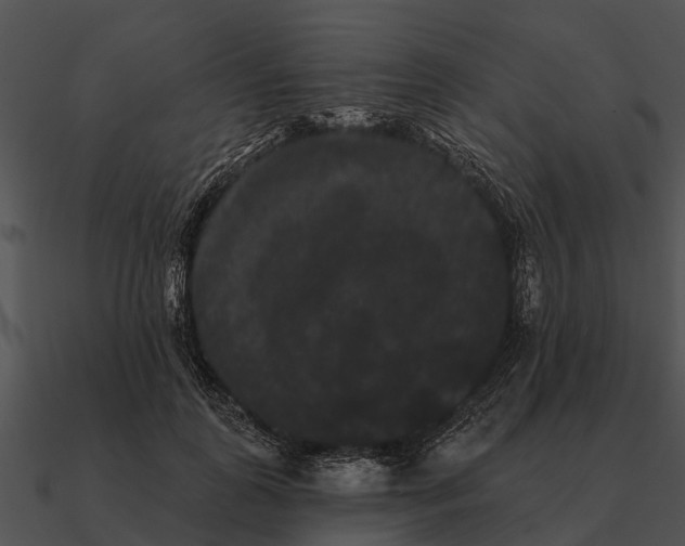 X0000090710747200708031433