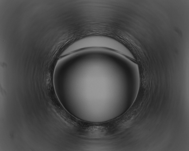 X0000090710748200708031433